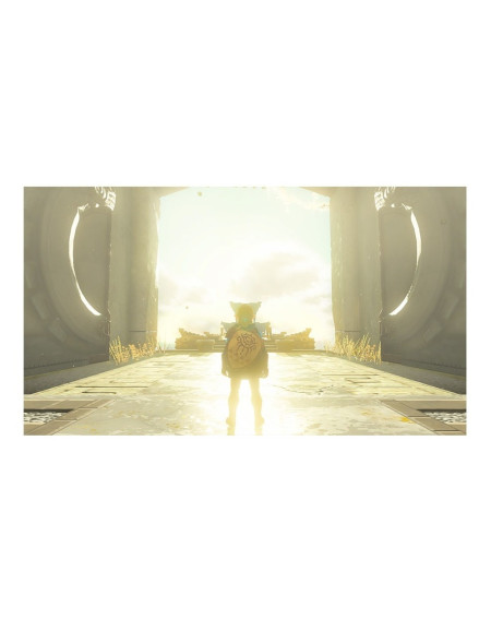 The Legend of Zelda Tears of the Kingdom Nsw