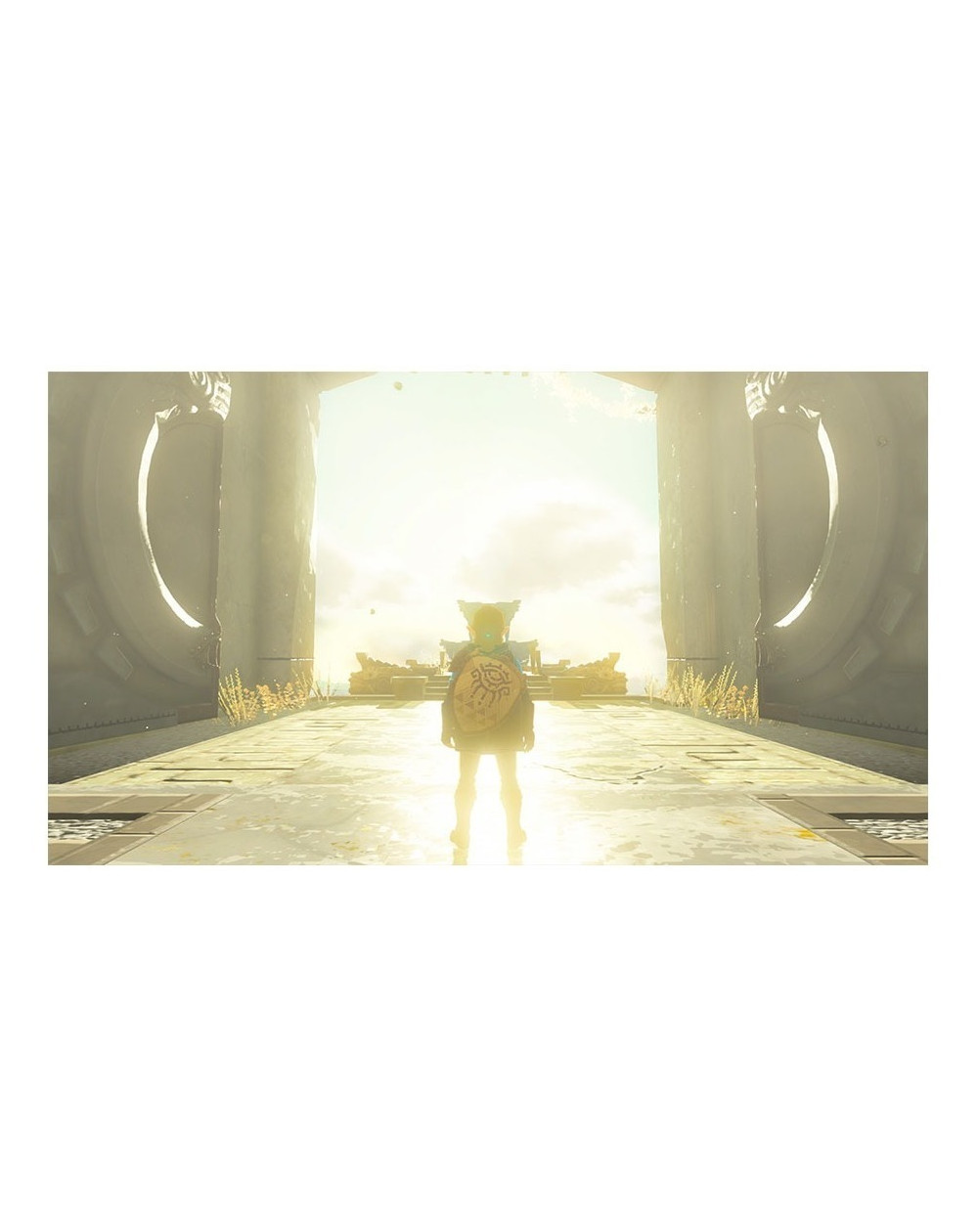 The Legend of Zelda Tears of the Kingdom Nsw