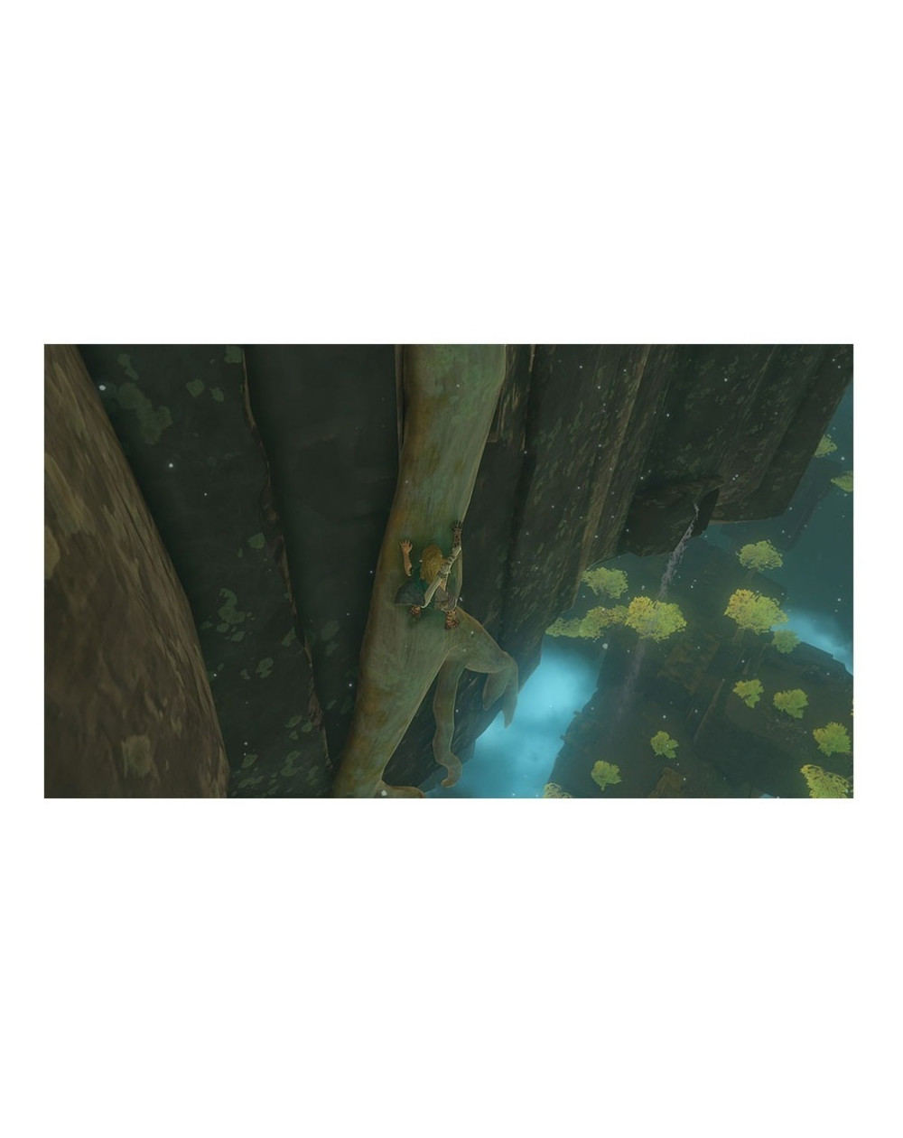 The Legend of Zelda Tears of the Kingdom Nsw