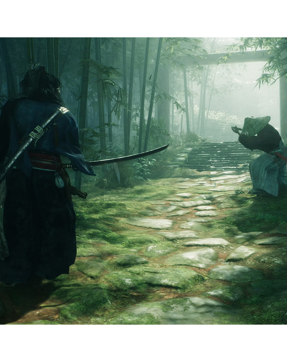 La Ascension Del Ronin Playstation 5 - Foto 6