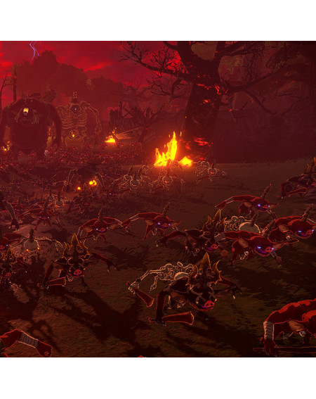 Hyrule Warriors Age of Imprisonment Nintendo Switch 2