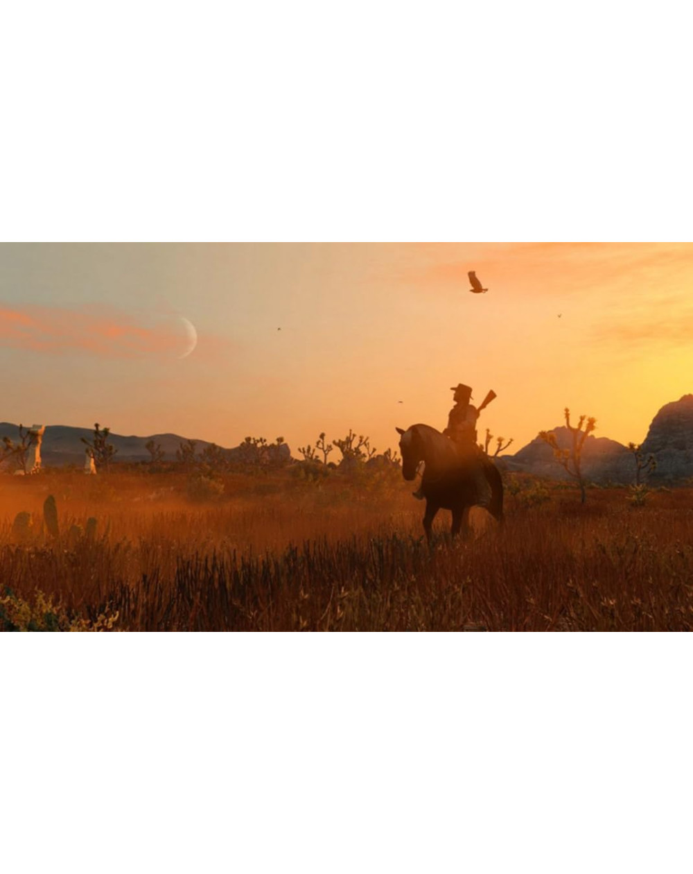 Red Dead Redemption Nintendo Switch