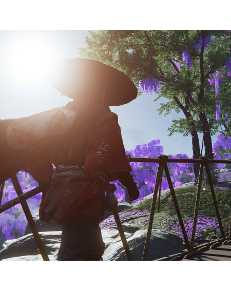 Ghost Of Tsushima Directors Cut Playstation 4