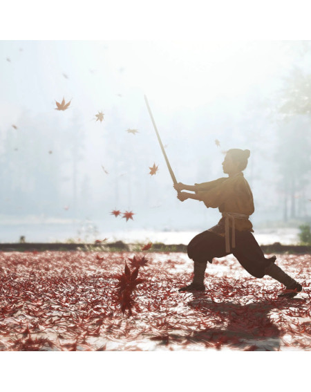 Ghost Of Tsushima Directors Cut Playstation 4