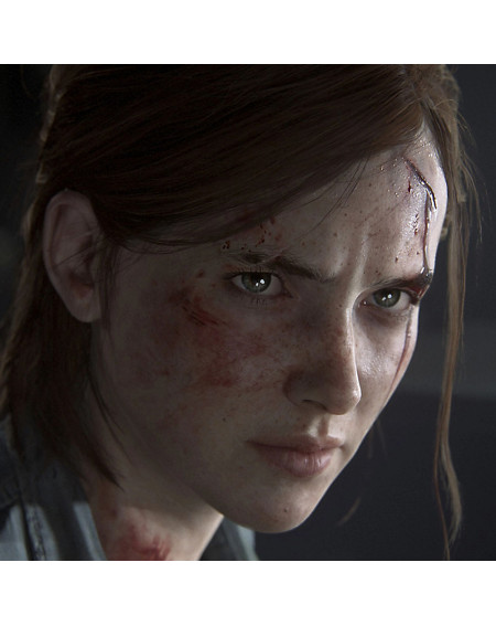 The Last Of Us Part II Ps4
