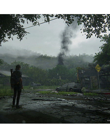 The Last Of Us Part II Ps4