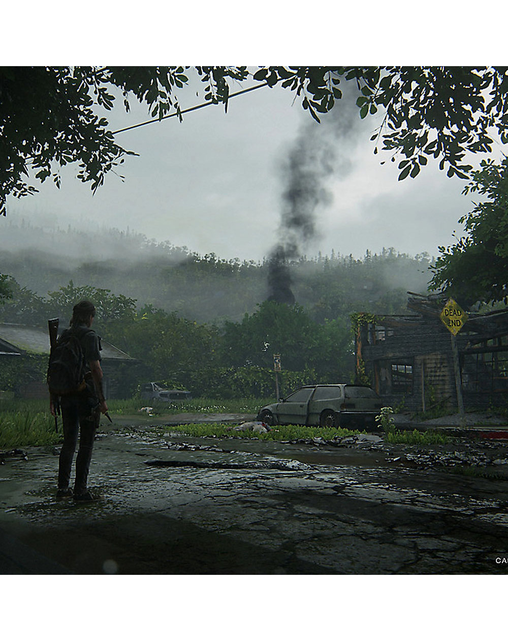 The Last Of Us Part II Ps4