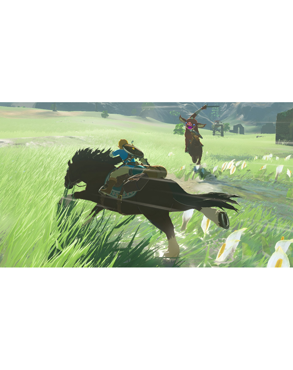 Videojuego Legend Of Zelda Breath Of The Wild Switch Físico Nintendo