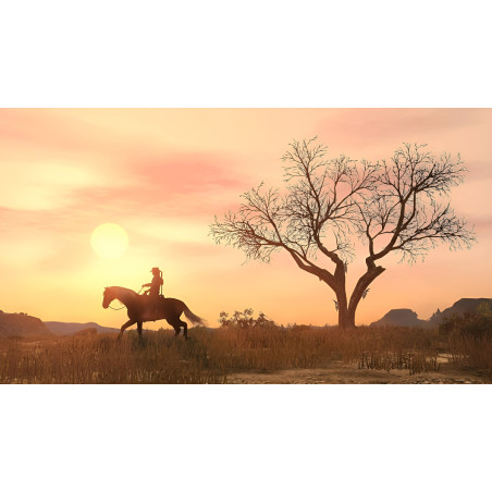 Red Dead Redemption Nintendo Switch