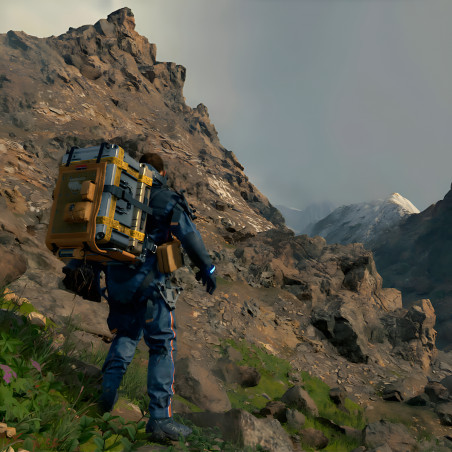 Death Stranding Standard Edition Físico Ps4 Español - Kojima Productions