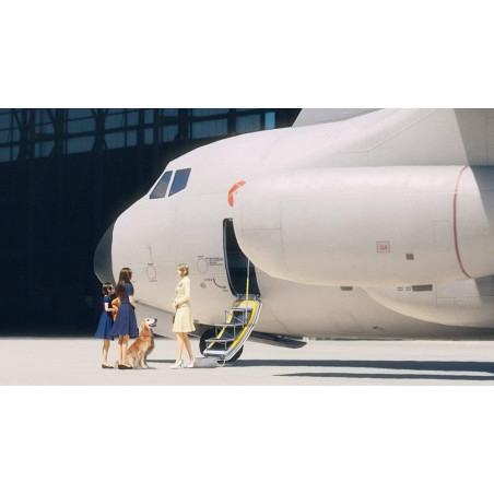 Ace Combat 7 Skies Unknown Ps4 Físico Multijugador Simulación