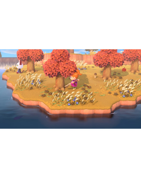 Animal Crossing New Horizons Nintendo Switch