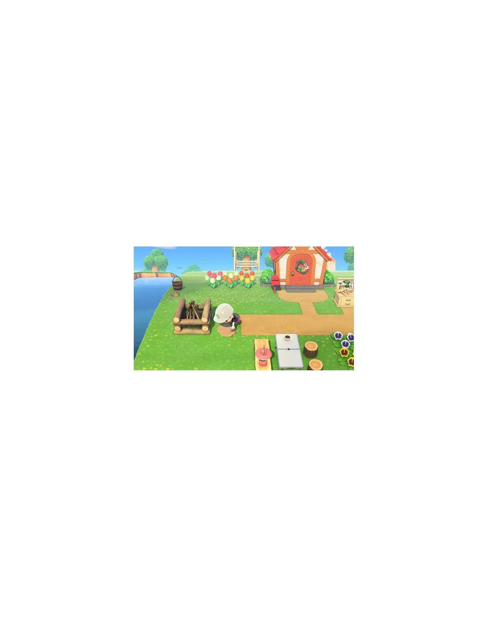 Animal Crossing New Horizons Nintendo Switch