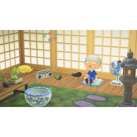 Animal Crossing New Horizons Nintendo Switch