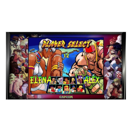 Street Fighter 30 Aniversario Colección Ps4 Standard Edition Playstation 4 (físico)