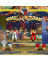 Street Fighter 30 Aniversario Colección Ps4 Standard Edition Playstation 4 (físico)