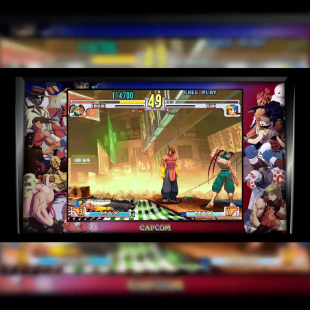 Street Fighter 30 Aniversario Colección Ps4 Standard Edition Playstation 4 (físico)