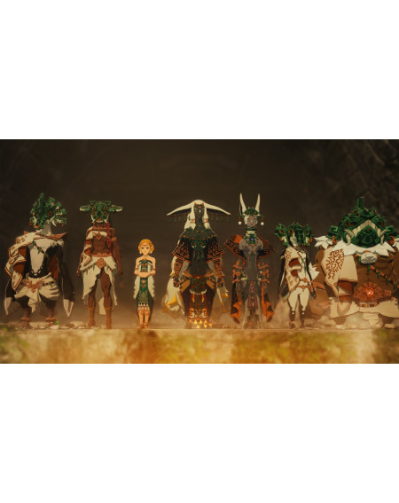 Hyrule Warriors: Age Of Imprisonment