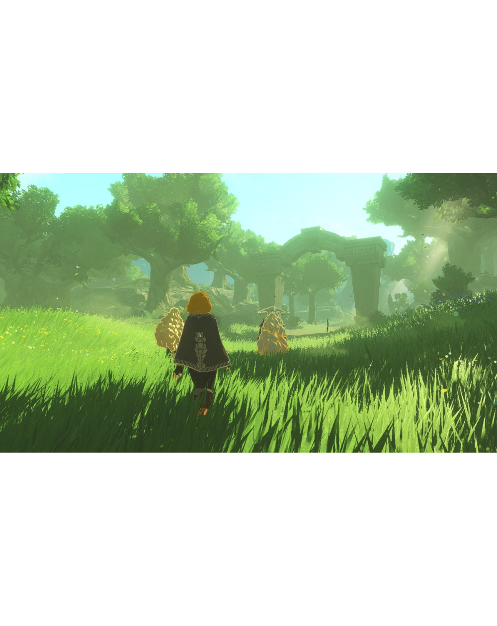 Hyrule Warriors: Age Of Imprisonment