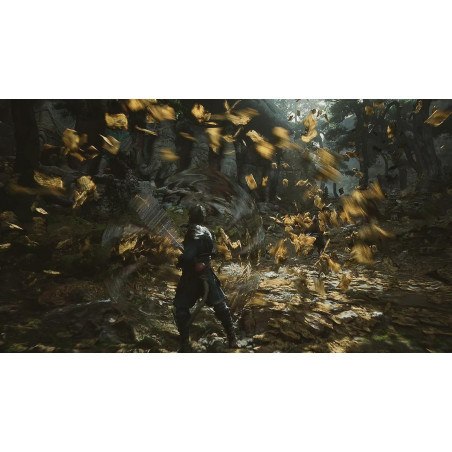 Black Myth: Wukong Ps5