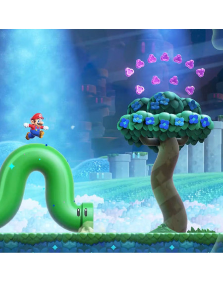 Super Mario Bros Wonder Nsw