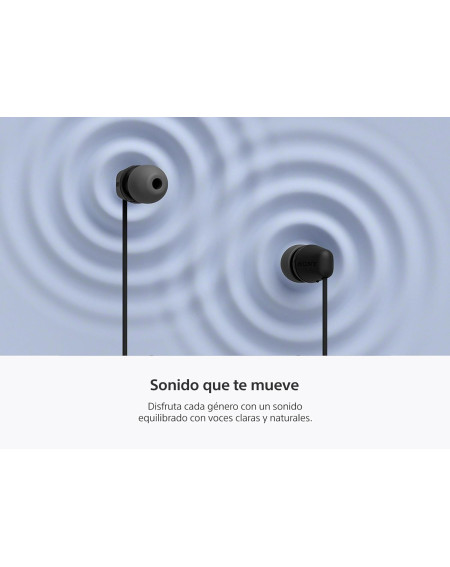 Sony Audífonos intrauditivos USB-C con cable IER-EX15C negro