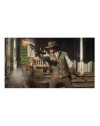 Red Dead Redemption 2 Ps4 Físico