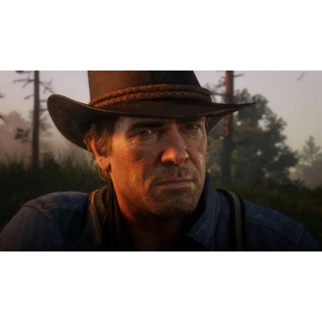 Red Dead Redemption 2 Ps4 Físico