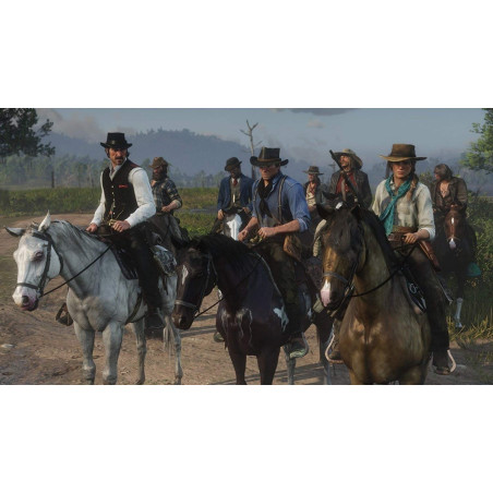 Red Dead Redemption 2 Ps4 Físico