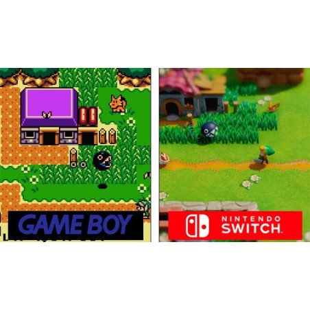 The Legend Of Zelda: Link's Awakening