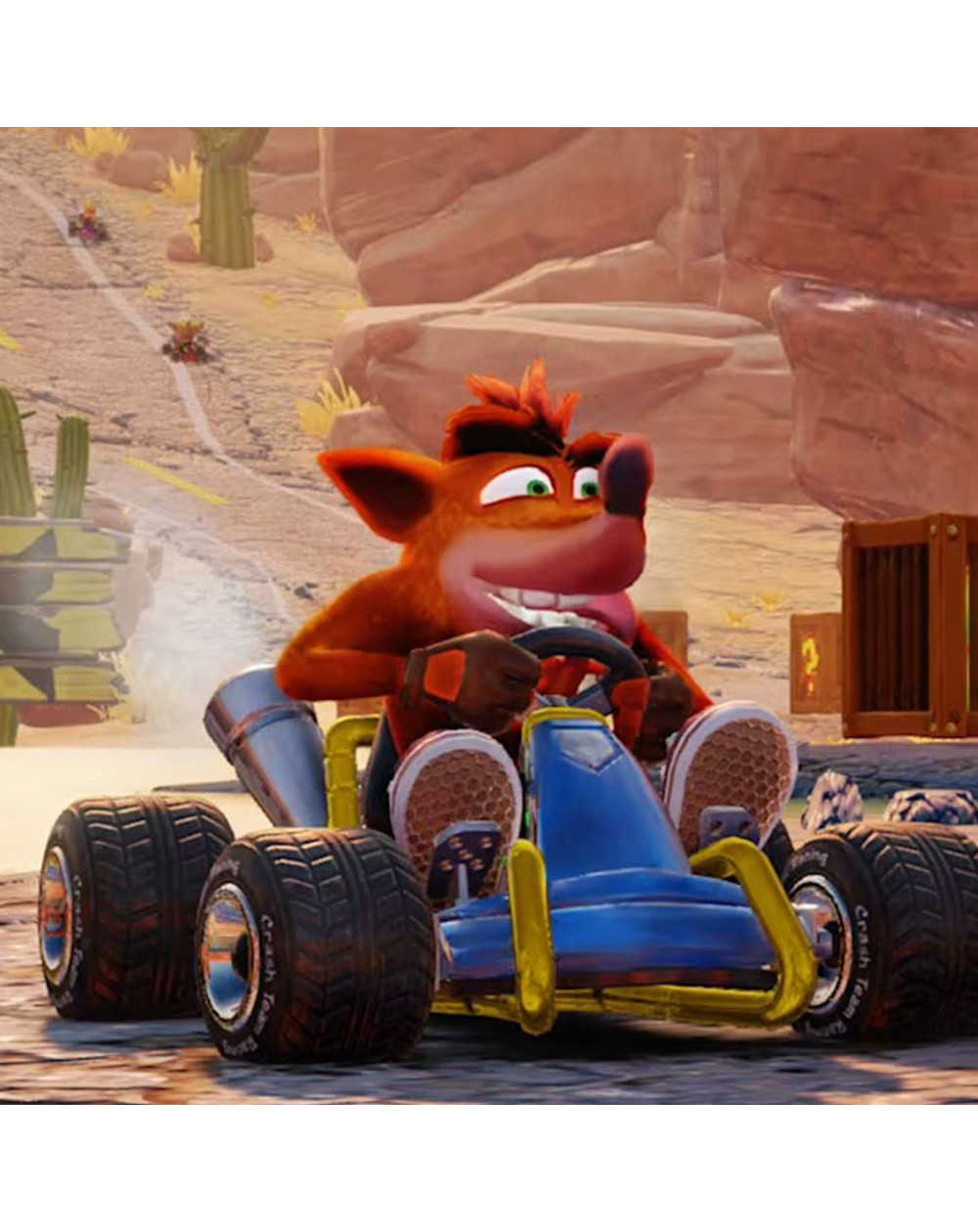 Crash Team Racing Nitro Fueled Nintendo Switch