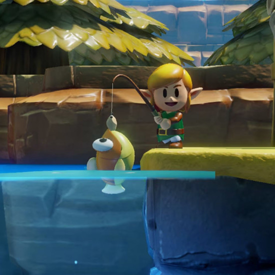The Legend of Zelda Link's Awakening Nintendo Switch