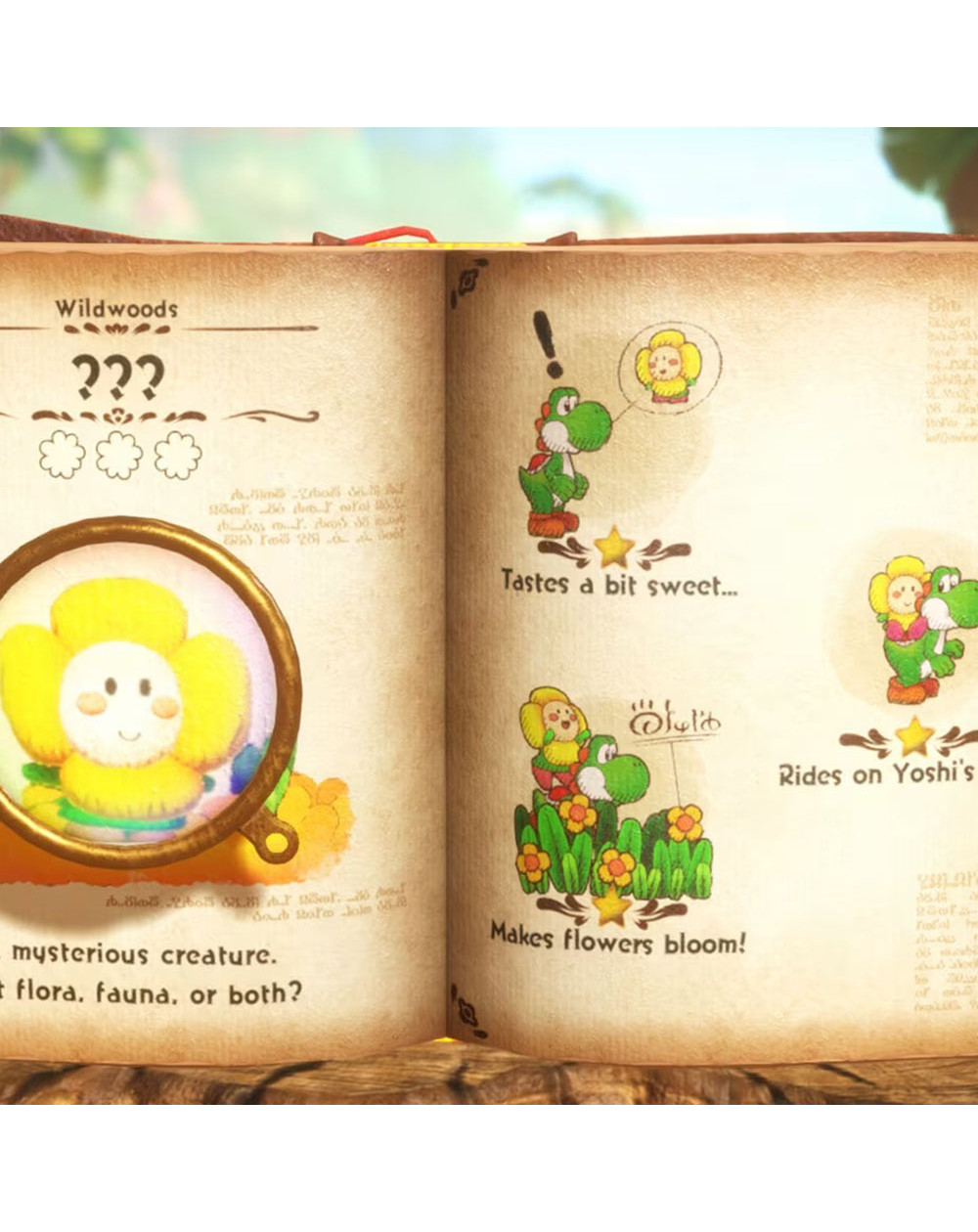 Yoshi and the Mysterious Book NintendoSwitch 2