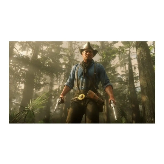 Red Dead Redemption 2 Xbox One Físico
