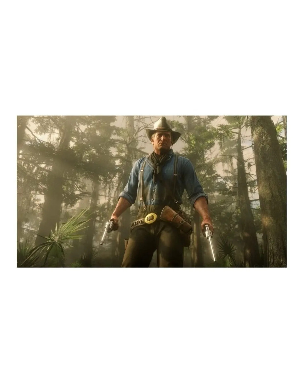 Red Dead Redemption 2 Xbox One Físico