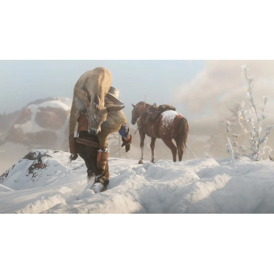 Red Dead Redemption 2 Xbox One Físico