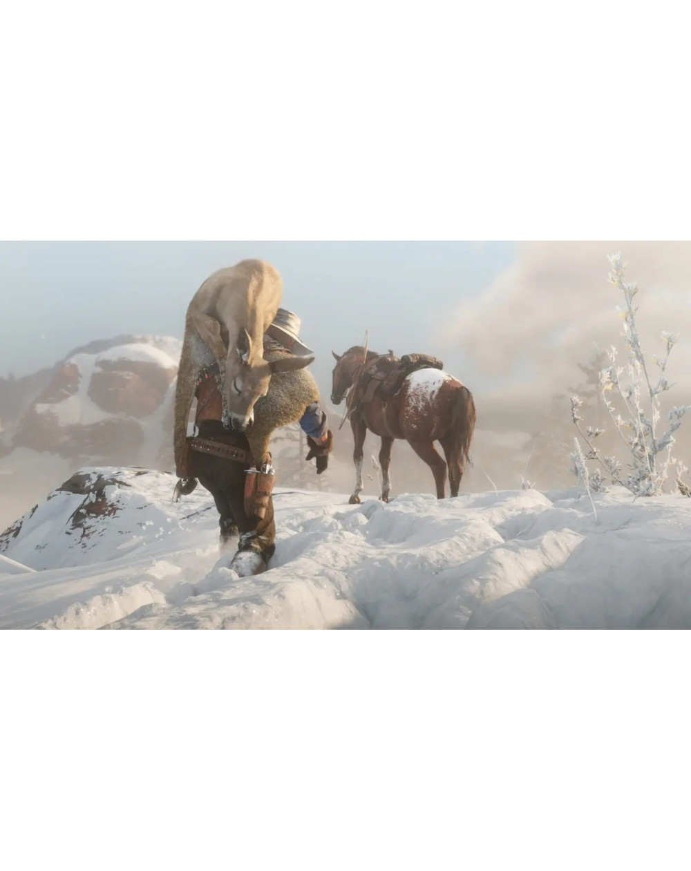 Red Dead Redemption 2 Xbox One Físico