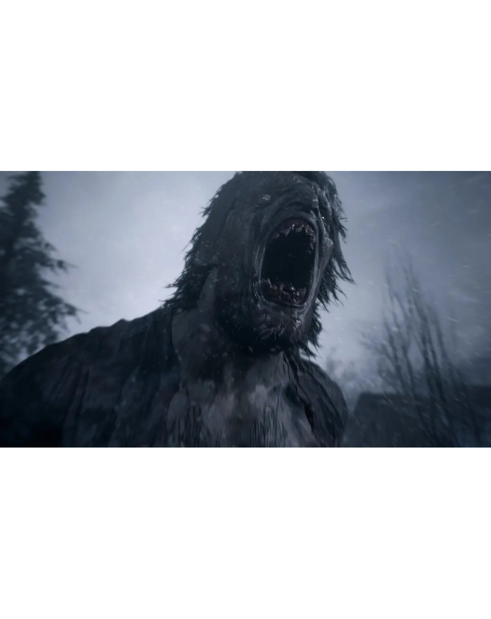 Resident Evil Village Standard Edition Playstation 5 (físico)