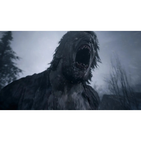 Resident Evil Village Standard Edition Playstation 5 (físico)
