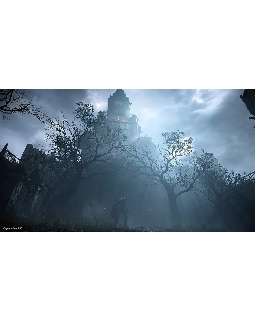 Demon's Souls Remake Standard Edition (físico)