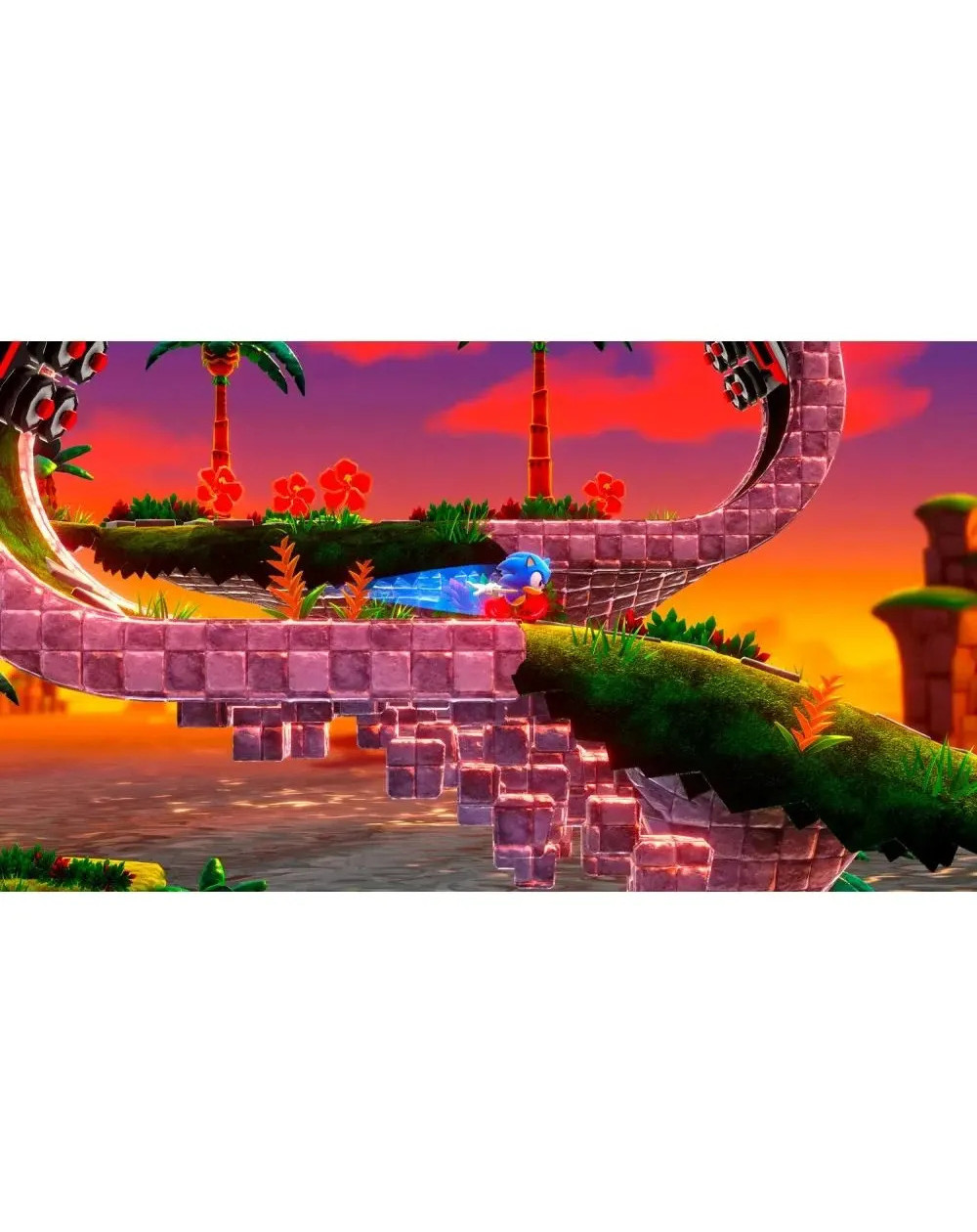 Sonic Superstars Standard (físico)